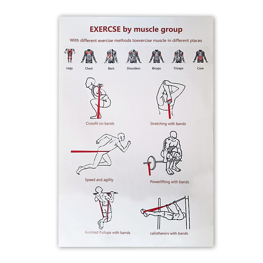 Latex Resistance Band: Ultimate Fitness Partner
