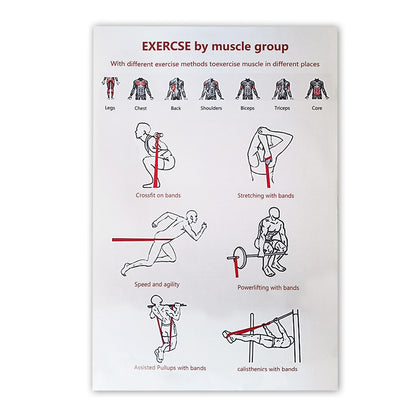 Latex Resistance Band: Ultimate Fitness Partner
